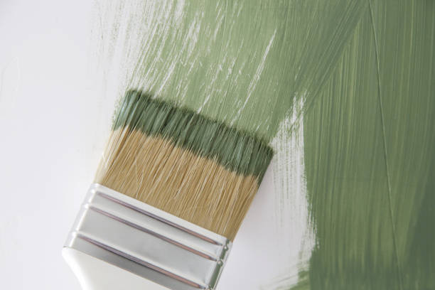 Best Mold Damage Restoration  in Freeman, SD