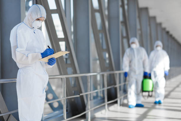 Best Mold Prevention Services  in Freeman, SD