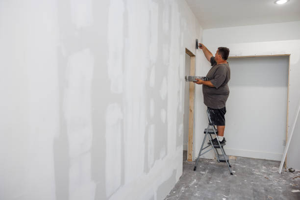 Best Mold Odor Removal Services  in Freeman, SD