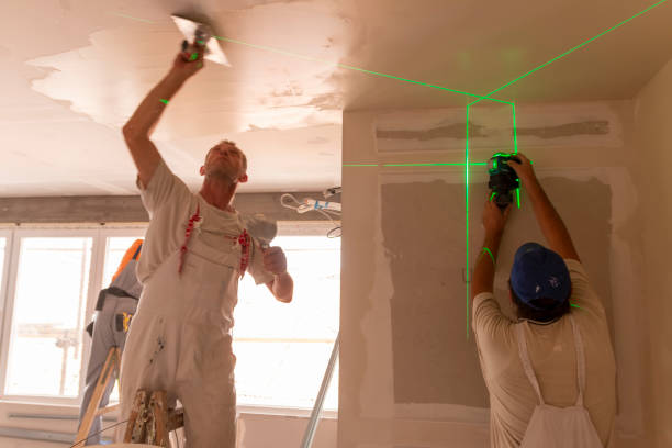 Best Airborne Mold Testing  in Freeman, SD