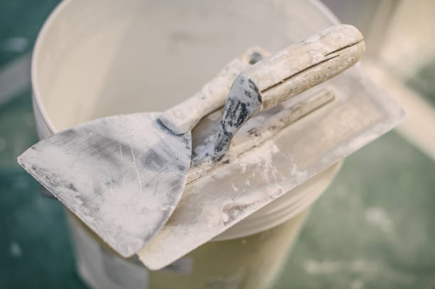 Best Real Estate Mold Inspection  in Freeman, SD