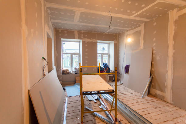 Best Mold Removal for HVAC Installations  in Freeman, SD